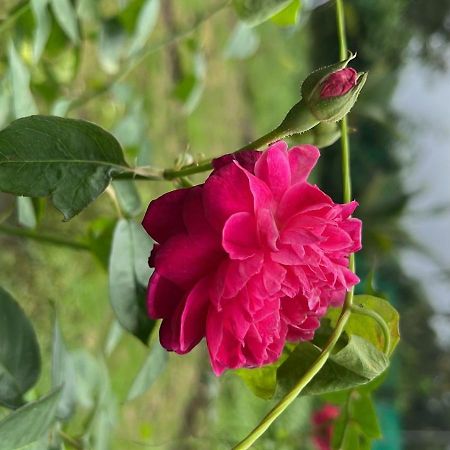 Chaitanya Farms Karjat Zewnętrze zdjęcie