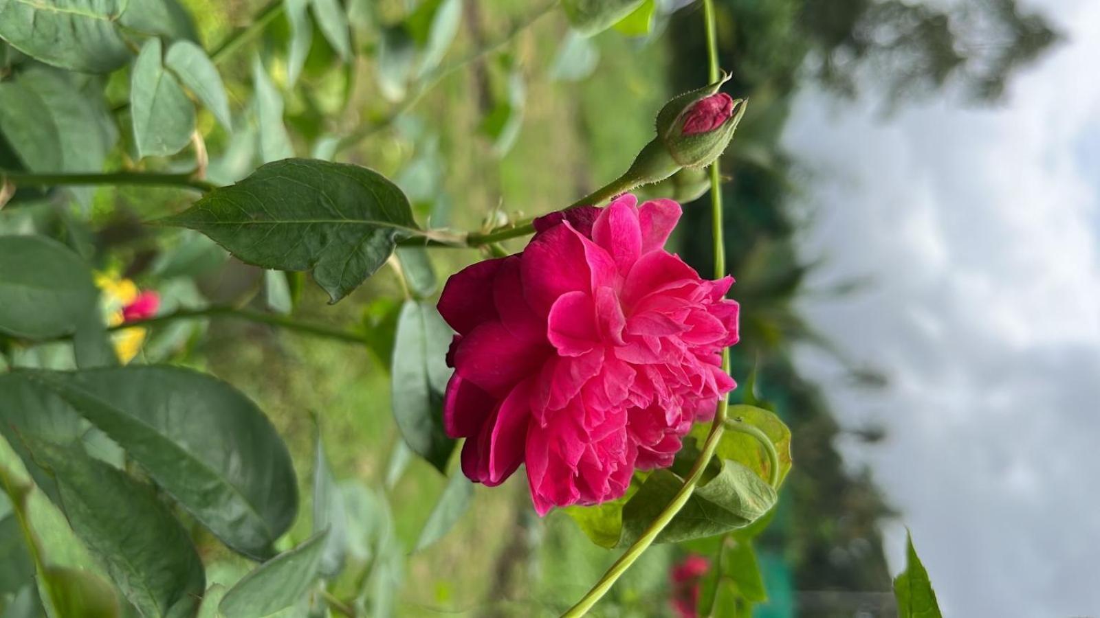 Chaitanya Farms Karjat Zewnętrze zdjęcie
